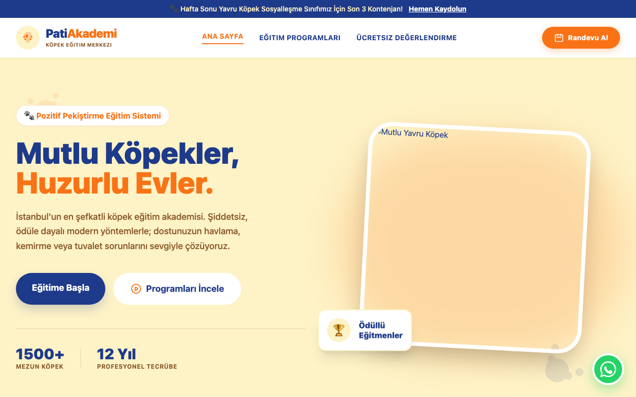 PatiAkademi | Profesyonel Köpek Eğitim Merkezi web sitesi şablonu