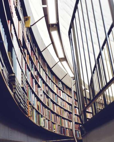 Vegan Food